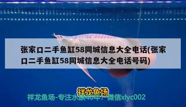 張家口二手魚缸58同城信息大全電話(張家口二手魚缸58同城信息大全電話號碼)