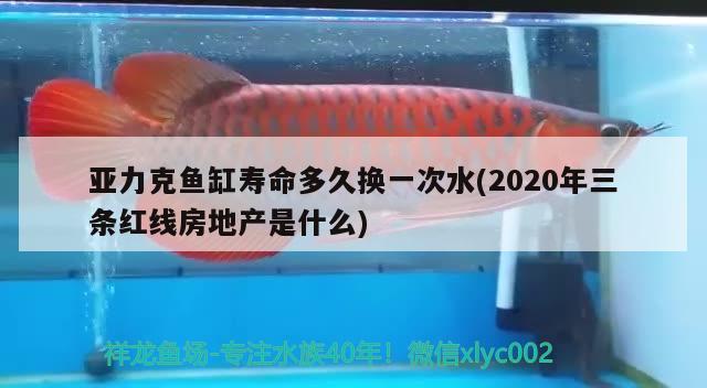 亞力克魚缸壽命多久換一次水(2020年三條紅線房地產(chǎn)是什么)