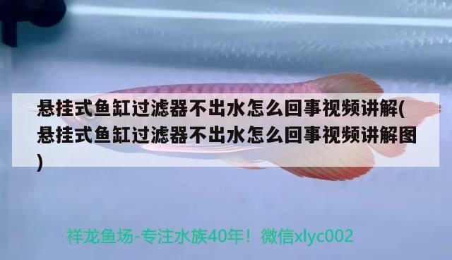 懸掛式魚缸過濾器不出水怎么回事視頻講解(懸掛式魚缸過濾器不出水怎么回事視頻講解圖) 黑桃A魚