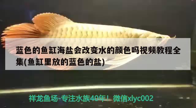 藍色的魚缸海鹽會改變水的顏色嗎視頻教程全集(魚缸里放的藍色的鹽)