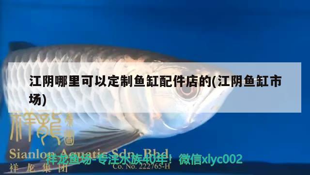 江陰哪里可以定制魚缸配件店的(江陰魚缸市場) 廣州水族器材濾材批發(fā)市場