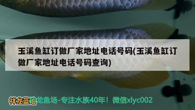 玉溪魚缸訂做廠家地址電話號碼(玉溪魚缸訂做廠家地址電話號碼查詢) 白子銀版魚苗