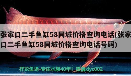 張家口二手魚缸58同城價(jià)格查詢電話(張家口二手魚缸58同城價(jià)格查詢電話號(hào)碼)