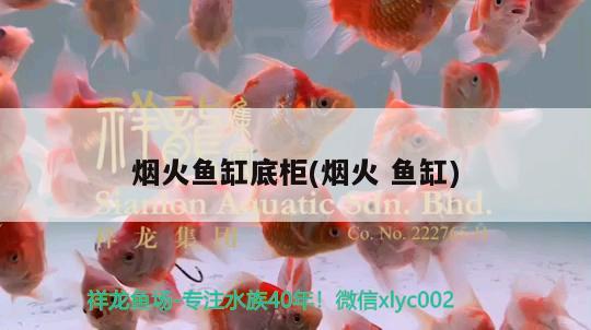 煙火魚(yú)缸底柜(煙火魚(yú)缸) 觀賞魚(yú)企業(yè)目錄