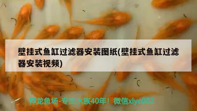 壁掛式魚缸過(guò)濾器安裝圖紙(壁掛式魚缸過(guò)濾器安裝視頻)