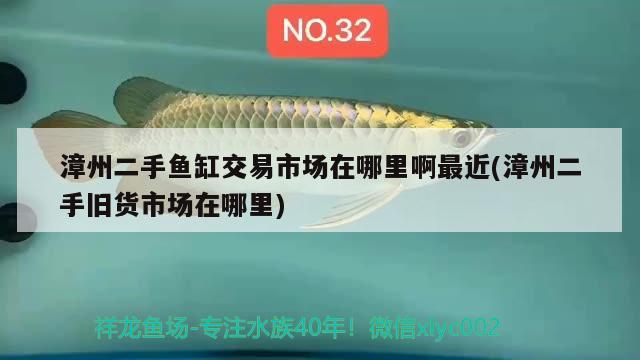 漳州二手魚缸交易市場在哪里啊最近(漳州二手舊貨市場在哪里)