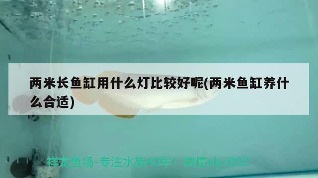 兩米長(zhǎng)魚缸用什么燈比較好呢(兩米魚缸養(yǎng)什么合適)