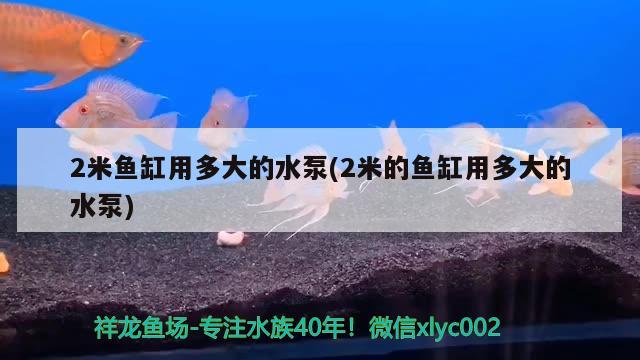 2米魚缸用多大的水泵(2米的魚缸用多大的水泵) 龍鳳鯉魚