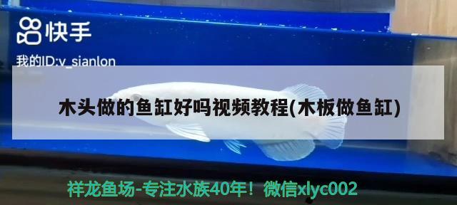 木頭做的魚(yú)缸好嗎視頻教程(木板做魚(yú)缸) 海水魚(yú)（海水魚(yú)批發(fā)）