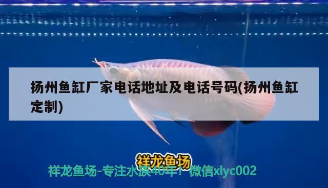 揚(yáng)州魚缸廠家電話地址及電話號碼(揚(yáng)州魚缸定制) 野生地圖魚