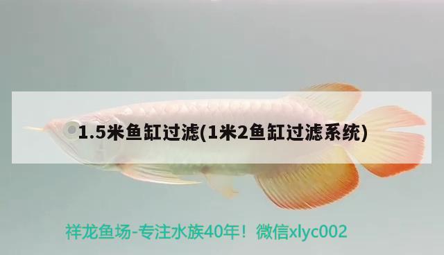 1.5米魚缸過濾(1米2魚缸過濾系統(tǒng)) 龍魚專用燈