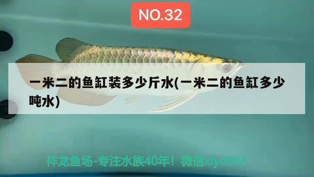 一米二的魚缸裝多少斤水(一米二的魚缸多少噸水)