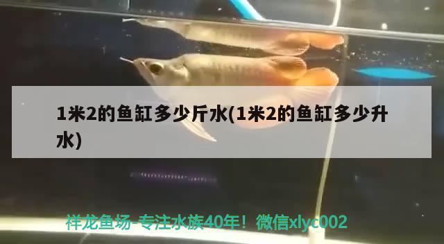 1米2的魚缸多少斤水(1米2的魚缸多少升水) 南美異形觀賞魚