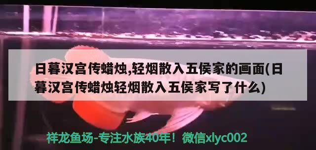 日暮漢宮傳蠟燭,輕煙散入五侯家的畫面(日暮漢宮傳蠟燭輕煙散入五侯家寫了什么)