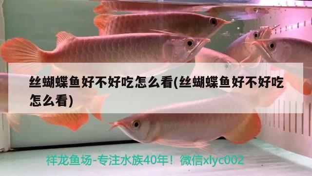 絲蝴蝶魚好不好吃怎么看(絲蝴蝶魚好不好吃怎么看)