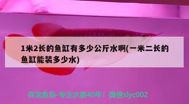 1米2長的魚缸有多少公斤水啊(一米二長的魚缸能裝多少水) 魟魚百科