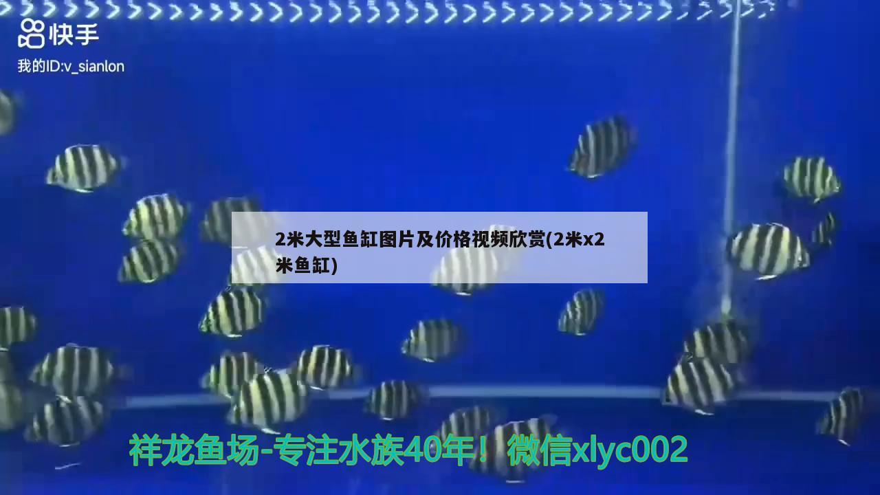 2米大型魚(yú)缸圖片及價(jià)格視頻欣賞(2米x2米魚(yú)缸)