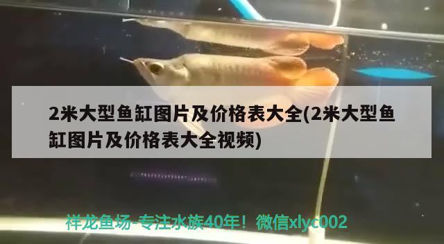 2米大型魚缸圖片及價格表大全(2米大型魚缸圖片及價格表大全視頻) 杰西卡恐龍魚