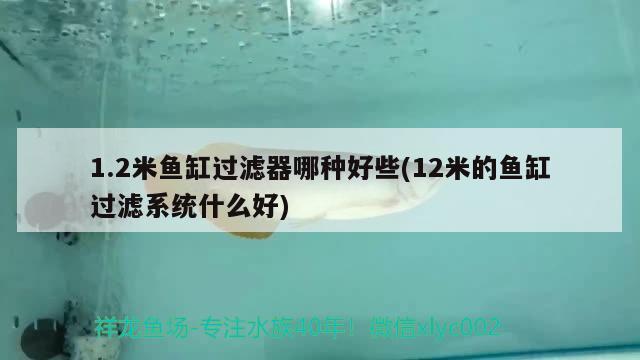 1.2米魚缸過濾器哪種好些(12米的魚缸過濾系統(tǒng)什么好)