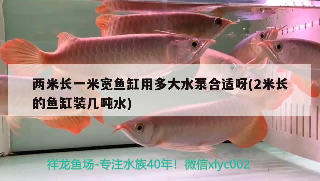 兩米長(zhǎng)一米寬魚(yú)缸用多大水泵合適呀(2米長(zhǎng)的魚(yú)缸裝幾噸水) 紅老虎魚(yú)