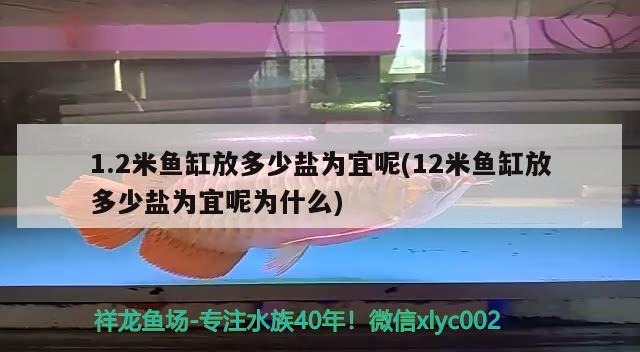 1.2米魚缸放多少鹽為宜呢(12米魚缸放多少鹽為宜呢為什么) 觀賞魚