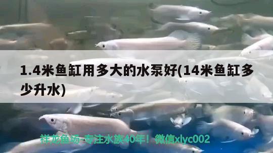 1.4米魚缸用多大的水泵好(14米魚缸多少升水) 殺菌消毒設備