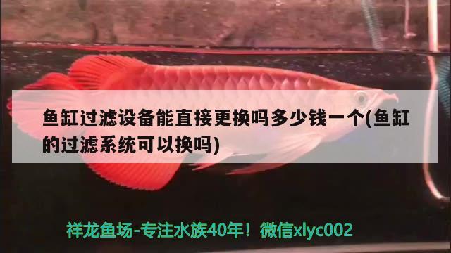 魚缸過濾設(shè)備能直接更換嗎多少錢一個(魚缸的過濾系統(tǒng)可以換嗎) 過濾設(shè)備