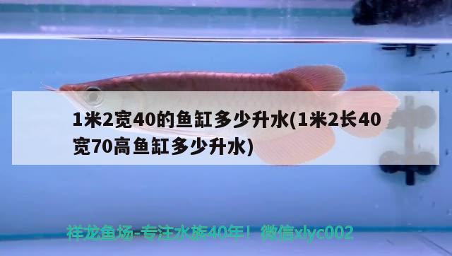 1米2寬40的魚缸多少升水(1米2長(zhǎng)40寬70高魚缸多少升水)