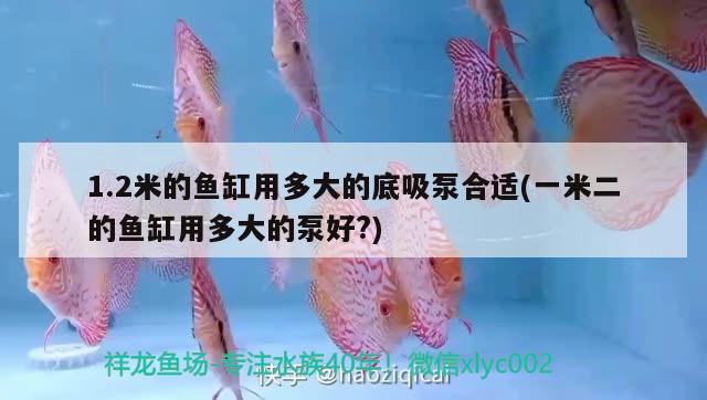 1.2米的魚缸用多大的底吸泵合適(一米二的魚缸用多大的泵好?)