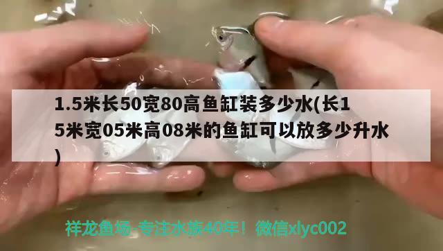 1.5米長50寬80高魚缸裝多少水(長15米寬05米高08米的魚缸可以放多少升水) 電鰻