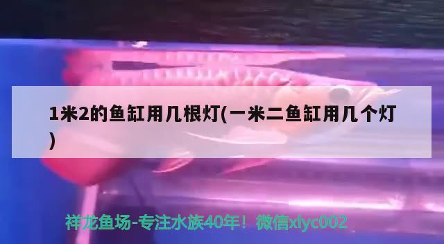 1米2的魚缸用幾根燈(一米二魚缸用幾個燈)