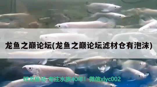 龍魚之巔論壇(龍魚之巔論壇濾材倉有泡沫)