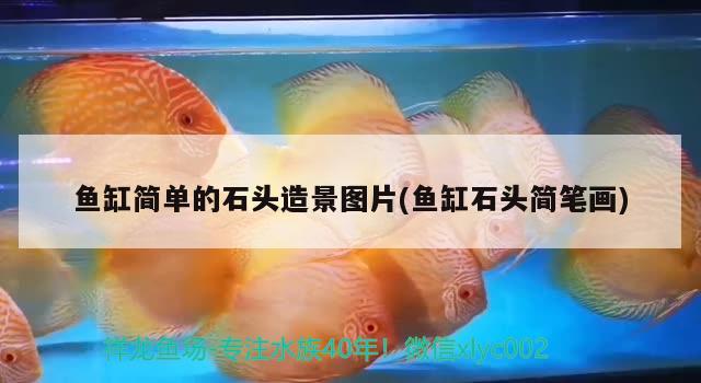 魚(yú)缸簡(jiǎn)單的石頭造景圖片(魚(yú)缸石頭簡(jiǎn)筆畫(huà))