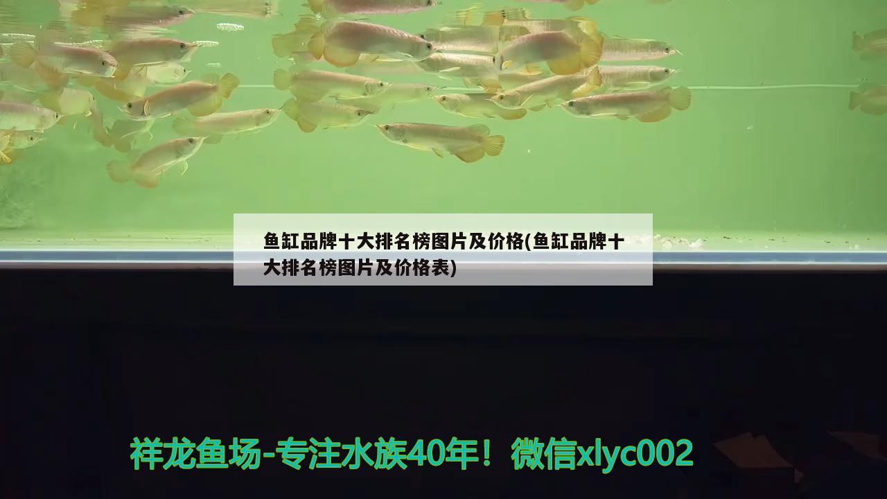 魚缸品牌十大排名榜圖片及價(jià)格(魚缸品牌十大排名榜圖片及價(jià)格表) 金龍魚糧