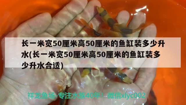 長一米寬50厘米高50厘米的魚缸裝多少升水(長一米寬50厘米高50厘米的魚缸裝多少升水合適)