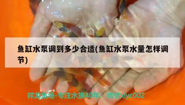 魚(yú)缸水泵調(diào)到多少合適(魚(yú)缸水泵水量怎樣調(diào)節(jié))