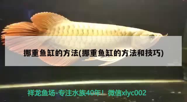 挪重魚缸的方法(挪重魚缸的方法和技巧) 觀賞魚市場（混養(yǎng)魚）