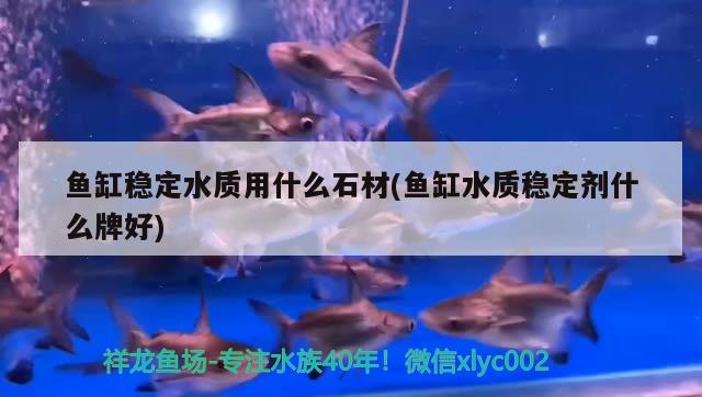 魚(yú)缸穩(wěn)定水質(zhì)用什么石材(魚(yú)缸水質(zhì)穩(wěn)定劑什么牌好)