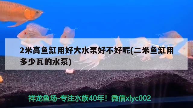 2米高魚缸用好大水泵好不好呢(二米魚缸用多少瓦的水泵)