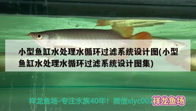 小型魚缸水處理水循環(huán)過濾系統(tǒng)設(shè)計圖(小型魚缸水處理水循環(huán)過濾系統(tǒng)設(shè)計圖集)