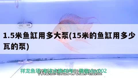 1.5米魚(yú)缸用多大泵(15米的魚(yú)缸用多少瓦的泵) 赤焰中國(guó)虎魚(yú)