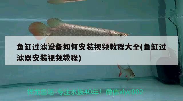 魚缸過濾設(shè)備如何安裝視頻教程大全(魚缸過濾器安裝視頻教程) 過濾設(shè)備