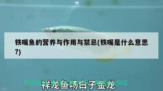 鐵嘴魚的營養(yǎng)與作用與禁忌(鐵嘴是什么意思?)