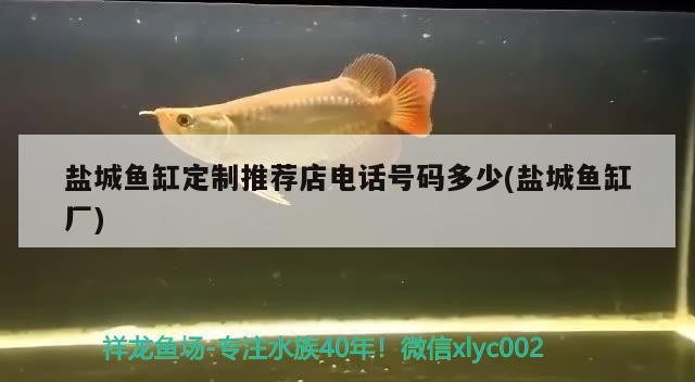 鹽城魚缸定制推薦店電話號(hào)碼多少(鹽城魚缸廠)