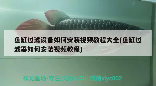 魚(yú)缸過(guò)濾設(shè)備如何安裝視頻教程大全(魚(yú)缸過(guò)濾器如何安裝視頻教程) 過(guò)濾設(shè)備 第1張