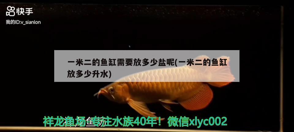 一米二的魚(yú)缸需要放多少鹽呢(一米二的魚(yú)缸放多少升水)