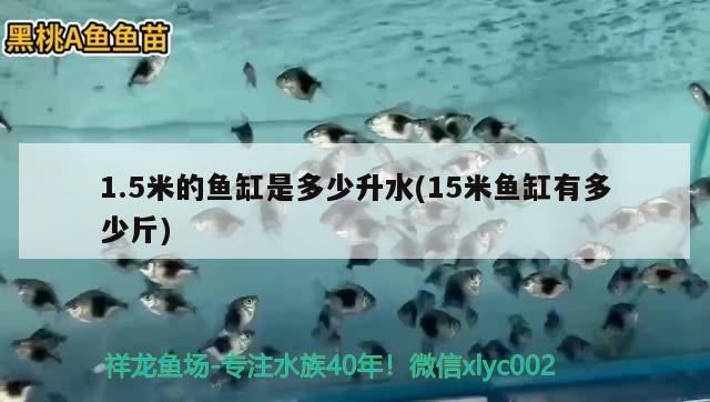 1.5米的魚缸是多少升水(15米魚缸有多少斤)