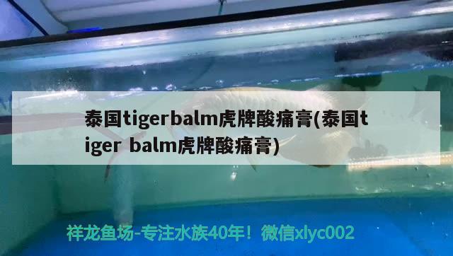 泰國tigerbalm虎牌酸痛膏(泰國tigerbalm虎牌酸痛膏) 觀賞魚