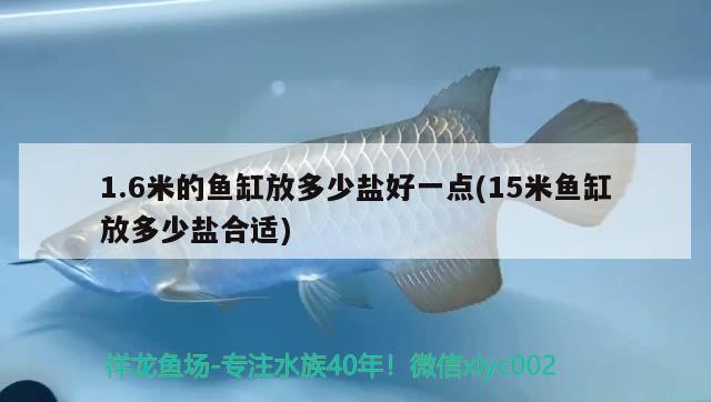 1.6米的魚缸放多少鹽好一點(15米魚缸放多少鹽合適) 黑白雙星