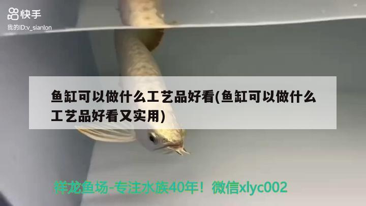 魚缸可以做什么工藝品好看(魚缸可以做什么工藝品好看又實用)